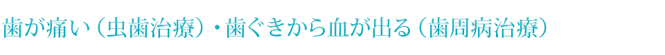 歯が痛い（虫歯治療）・歯ぐきから血が出る（歯周病治療）